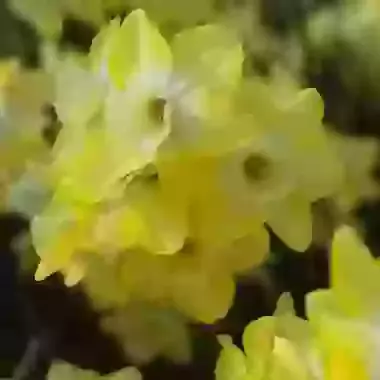 Regeneration